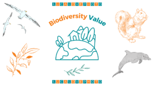 Value of Biodiversity