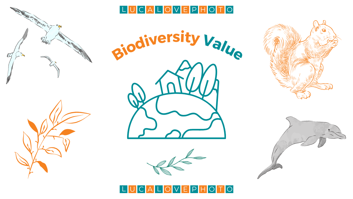 Value of Biodiversity