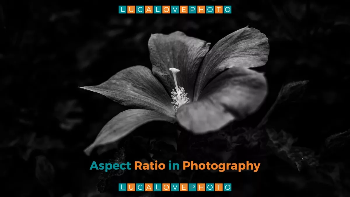 Mastering Photo Aspect Ratio