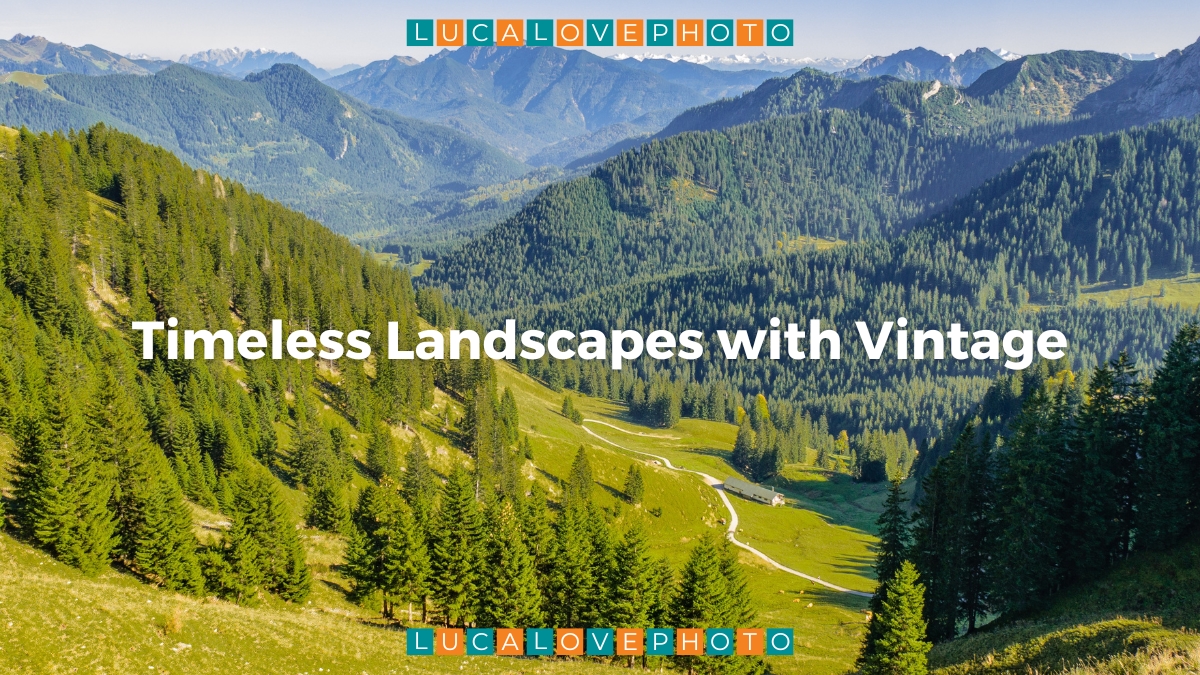 Timeless Landscapes with Vintage - Cover