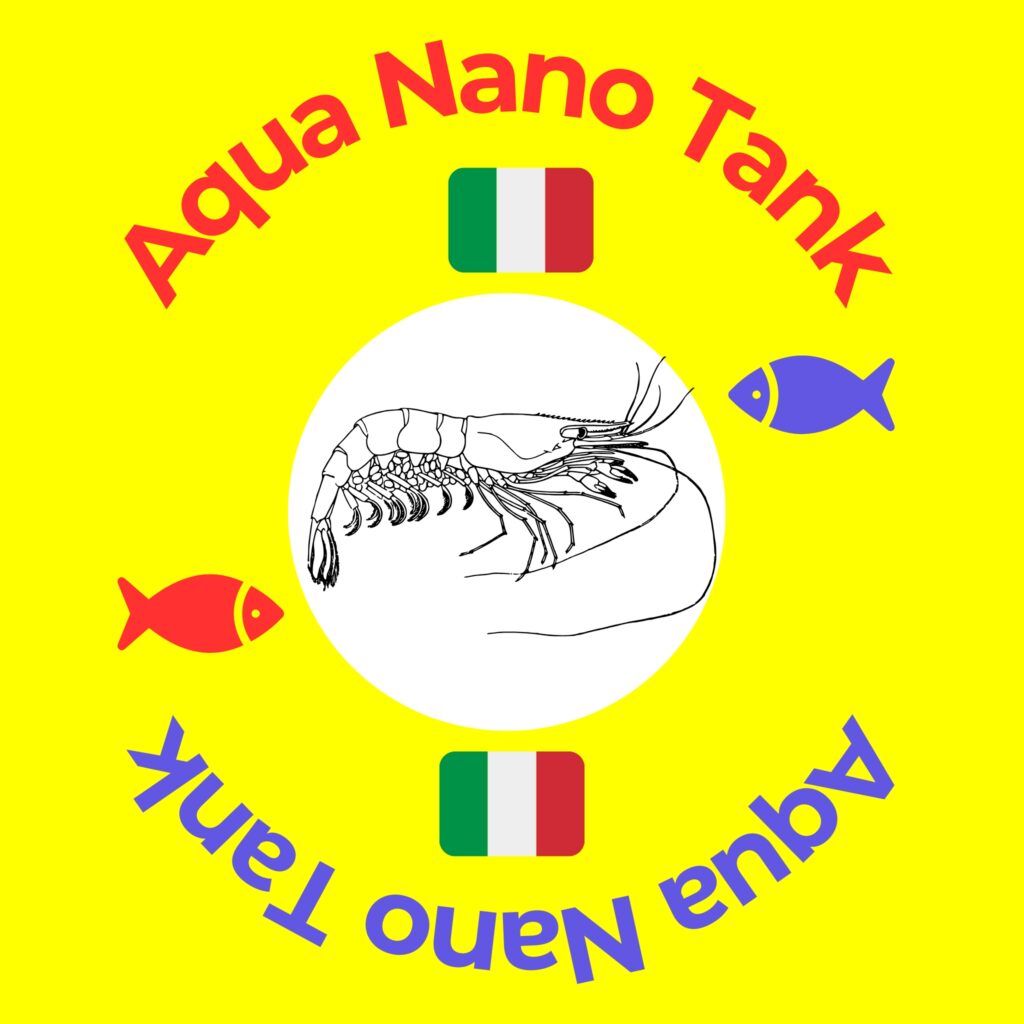 Aqua Nano Tank