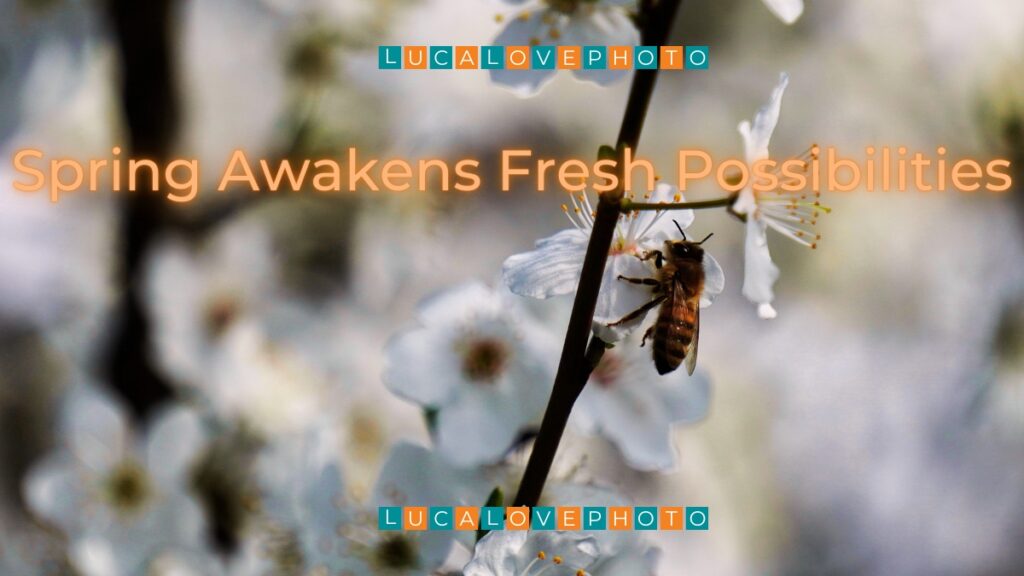 Spring Awakens Fresh Possibilities